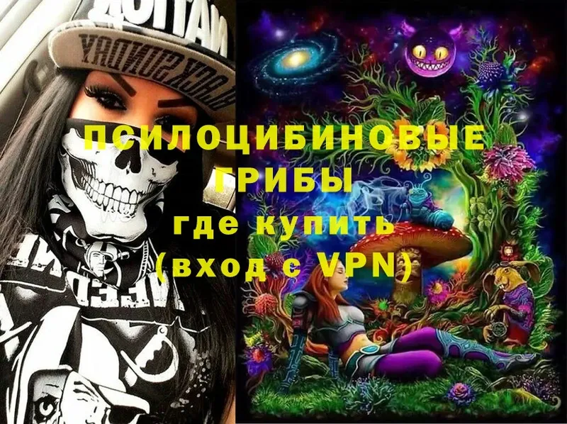 Галлюциногенные грибы Psilocybine cubensis  Сергач 